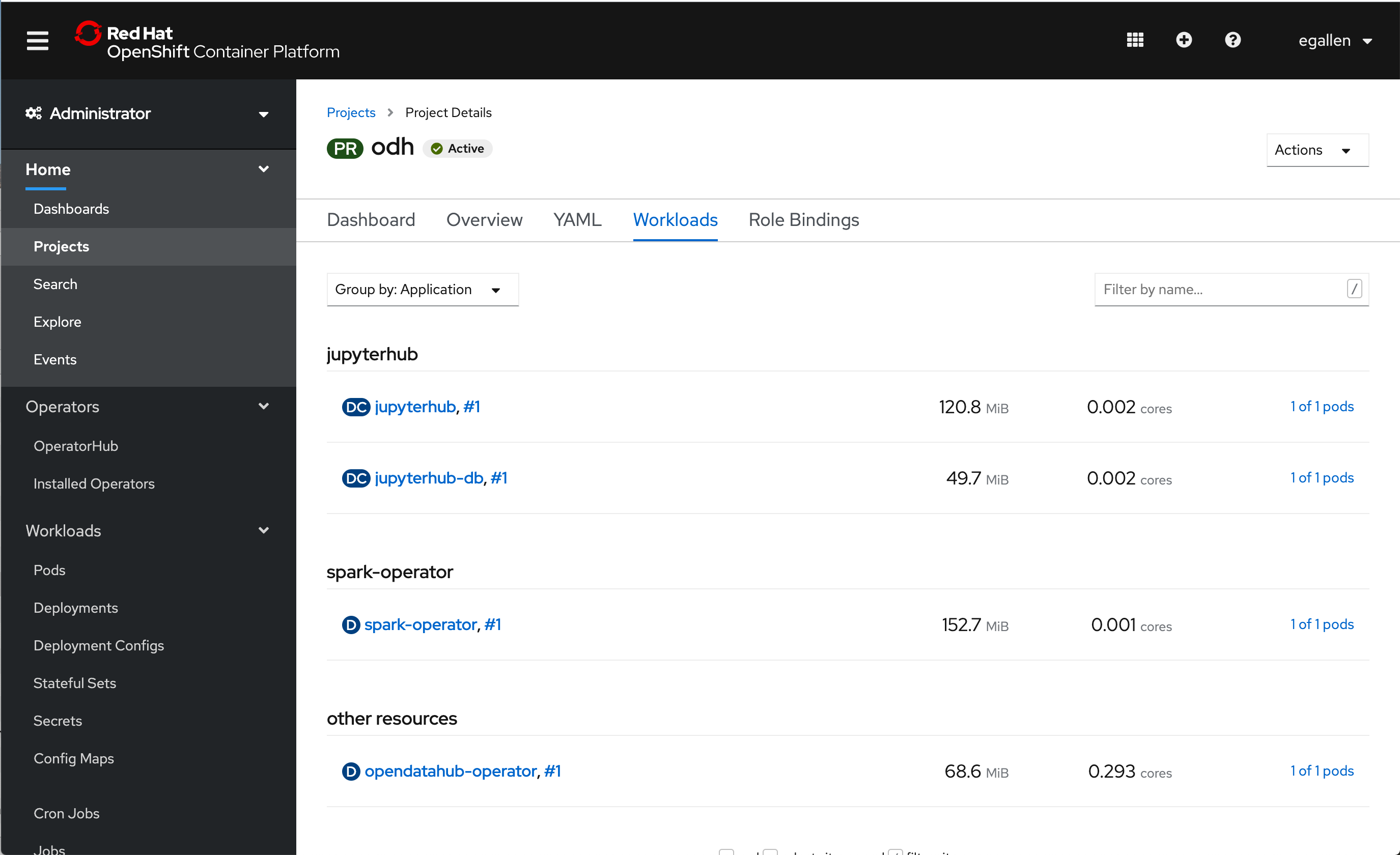 odh workloads